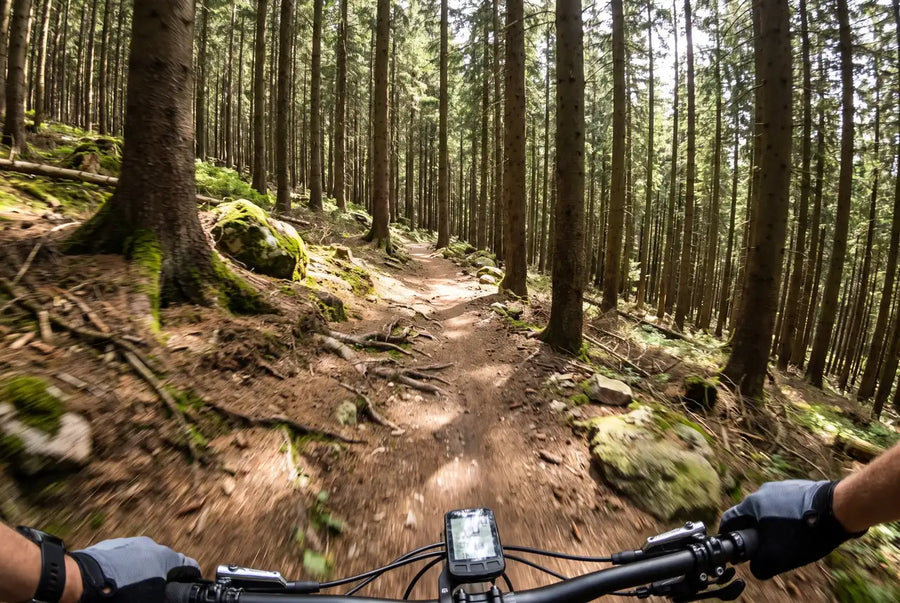 first-person view descending a forest singletrack